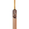 HS 41 CORE OCTA CRICKET BAT