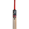 HS CORE 5 CRICKET BAT